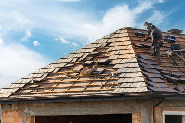Best Asphalt Shingle Roofing  in Shelby, MI
