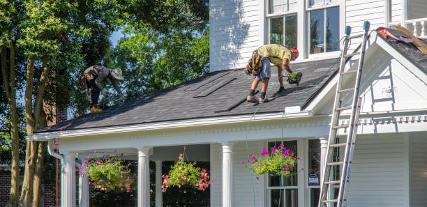 Best Roof Ventilation Installation  in Shelby, MI